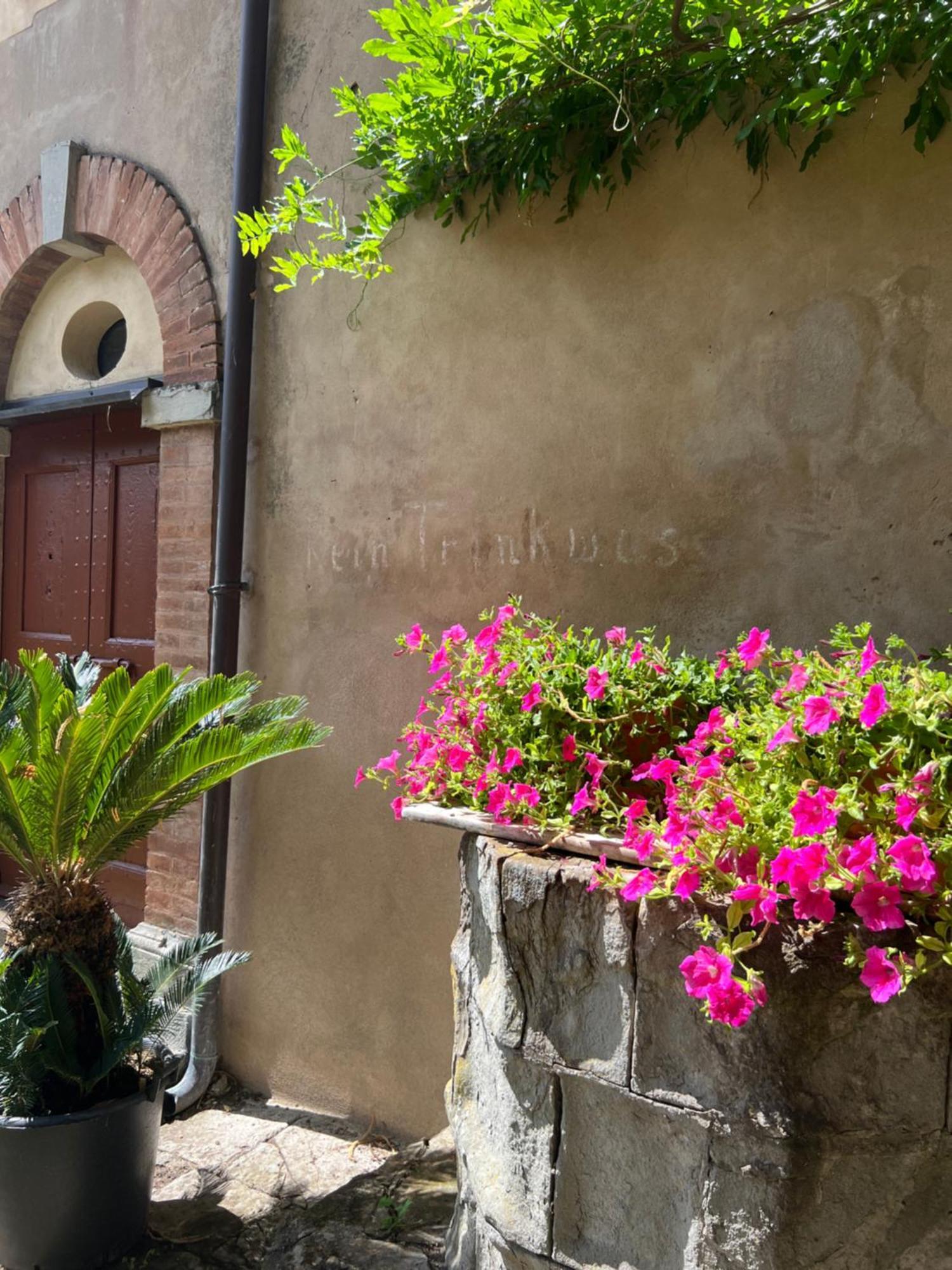 Casa Barattini Bed and Breakfast Zocchetta Eksteriør billede