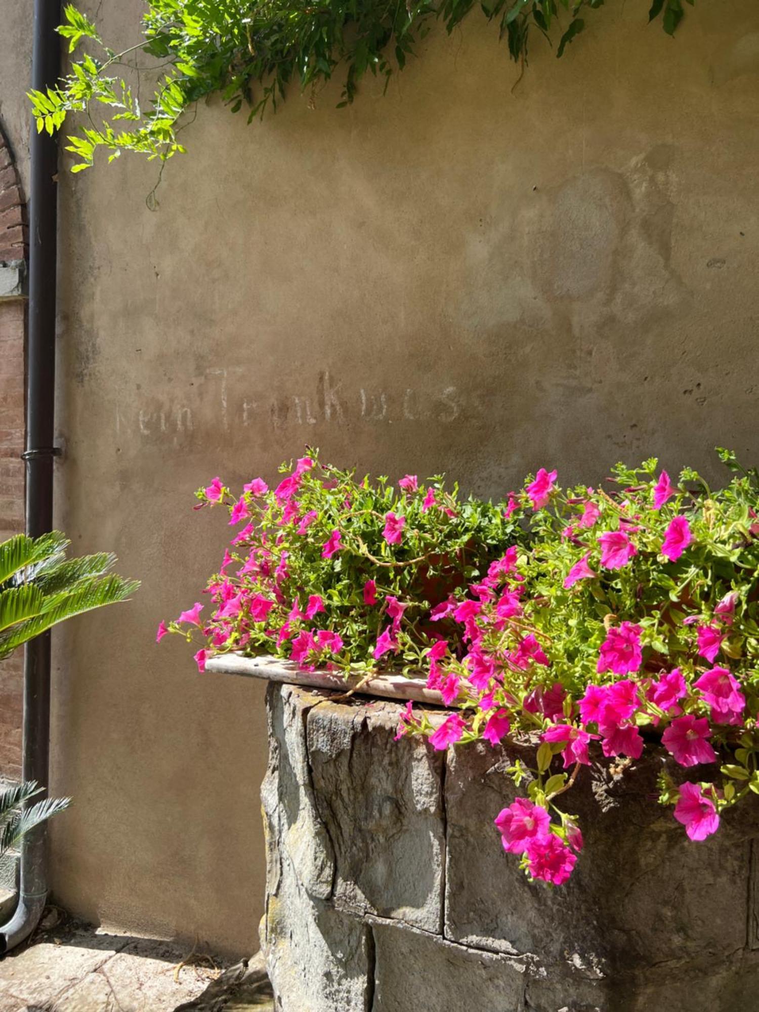 Casa Barattini Bed and Breakfast Zocchetta Eksteriør billede